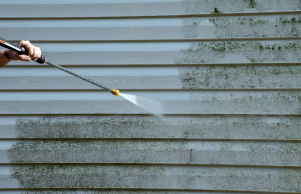 Best Driveway Cleaning and Restoration in Denmark, WI
